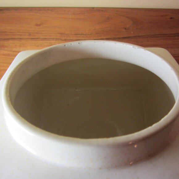 Hyalyn Pottery Canister vintage fruit Pattern wood Lid retro (W4742) - Picture 12 of 16